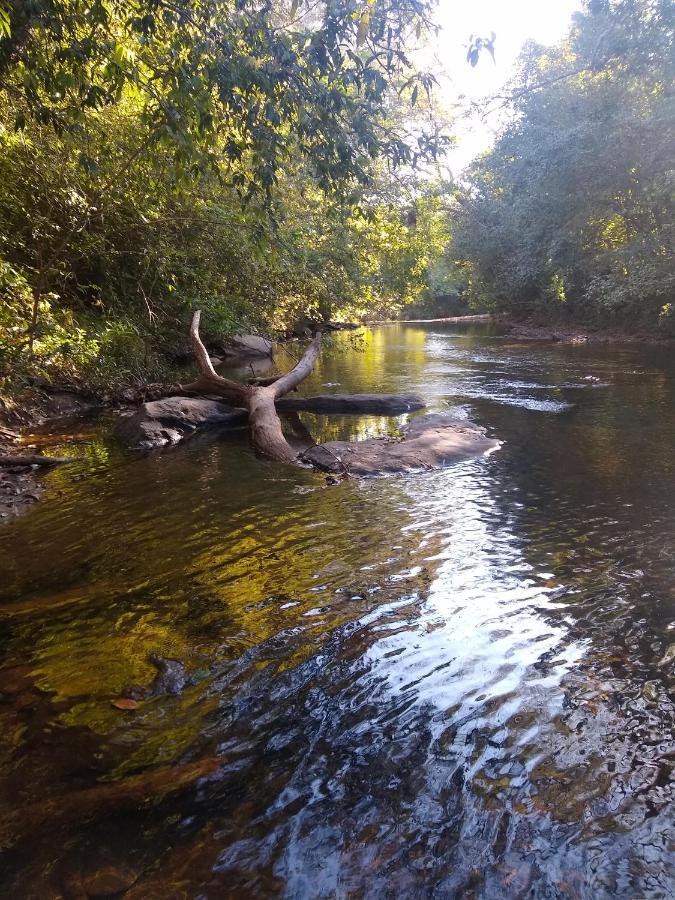 Pousada Primavera Dos Pireneus Pirenópolis Zewnętrze zdjęcie
