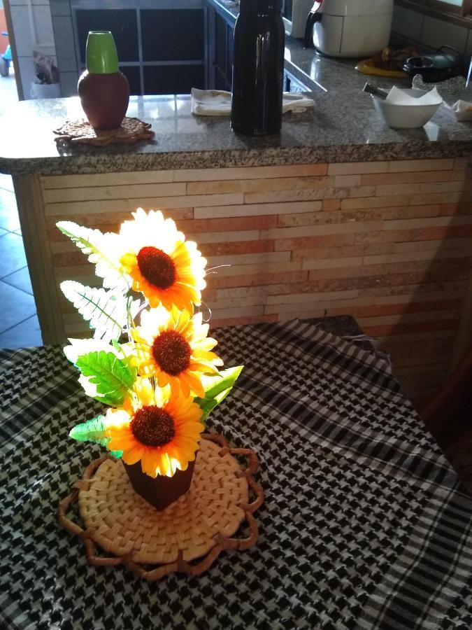 Pousada Primavera Dos Pireneus Pirenópolis Zewnętrze zdjęcie
